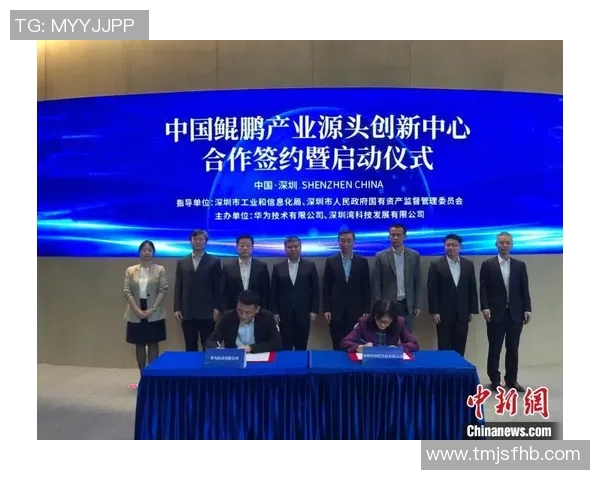 北京极限运动队的创新运营模式与发展策略探讨